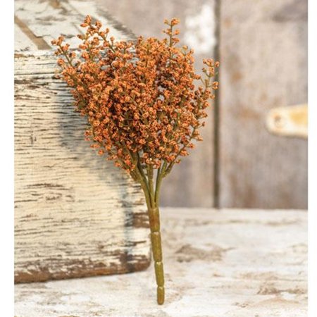 Bursting Astilbe Bush 10.5  Pumpkin