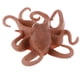 thumbnail image 5 of Sea Animal, Surtido de Juguetes de Plástico para , Realistas de La , Decoración Coleccionable para Hugo  Juguete de figura animal, 5 of 8