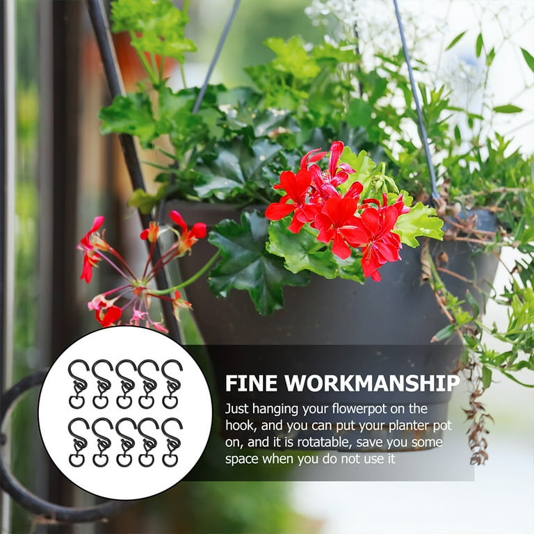 indoor sedum plants Fake Plants Potted Sedum Succulent in Plastic Pot