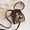 B, variant on Womens Print Bucket Handbag Adjustable Strap Crossbody Purse Ring‑shaped Top Handle Messenger Bag