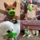 thumbnail image 5 of Bozal para perro, máscara transpirable y ajustable, divertido y bonito, antimordeduras, antiladridos, anticomidas, para entrenamiento de cachorros, accesorios para mascotas, 5 of 6