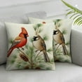 thumbnail image 2 of MLJA I Am Cardinal Red Birds Decorative Throw Pillow Cover Set of 2, Pine Cones Berry Cushion Case Decor, Winter Holiday Quote Pillowcase Decorations for Sofa Couch, 2 of 6