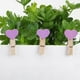 thumbnail image 4 of Tarjeta de casa Foto Ropa Pinza de corazón Mini Clip de madera morado 50 piezas, 4 of 7