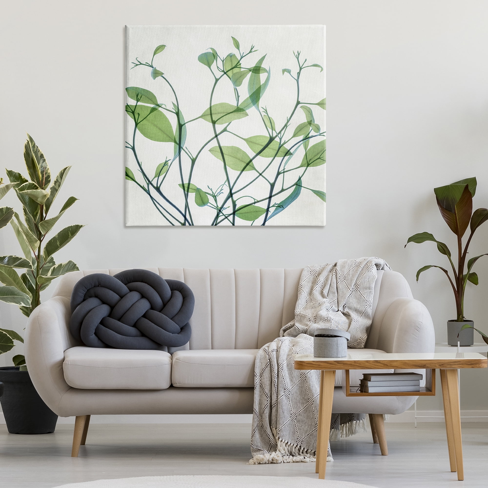 Stupell Industries Twisting Green Vines Botanical & Floral Painting Gallery Wrapped Canvas Art Print Wall Art, 36 x 36