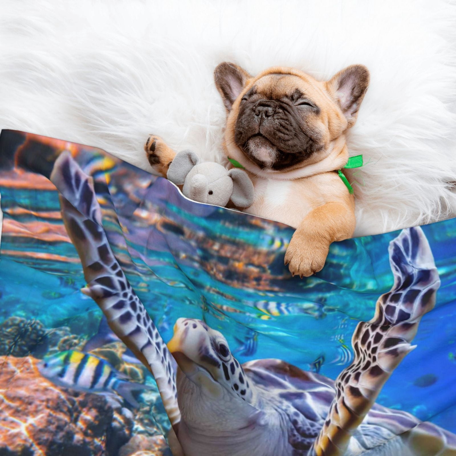Naloa Sea Turtle Swims Dog Blanket, 3 Sizes Cat Blanket for Indoor Cats Large Medium Small Dog Gifts-Small
