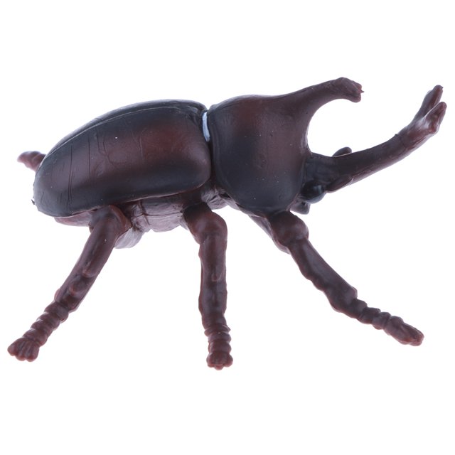 Juguete educativo realista de la ciencia y de la naturaleza del niño de la Sunnimix Juguete animal de la estatuilla