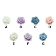 thumbnail image 3 of Jumpingount 10 piezas de flores artificiales para manualidades DIY, decoración de simulación de uñas epoxi, tocados, artesanía de Color sólido Ropa, zapatos y accesorios Miscelánea gris perla Jumpingount AP016401-07, 3 of 6