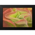 thumbnail image 2 of Murdock, Ramona 24x17 Black Modern Framed Museum Art Print Titled - Kalanchoe Luciae The Beautiful, 2 of 5