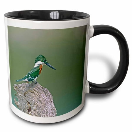 3drose, Mexico, Tamaulipas State, Green Kingfisher Bird - Sa13 Bja0127 - Jaynes Gallery, 11oz Two-tone Black Mug