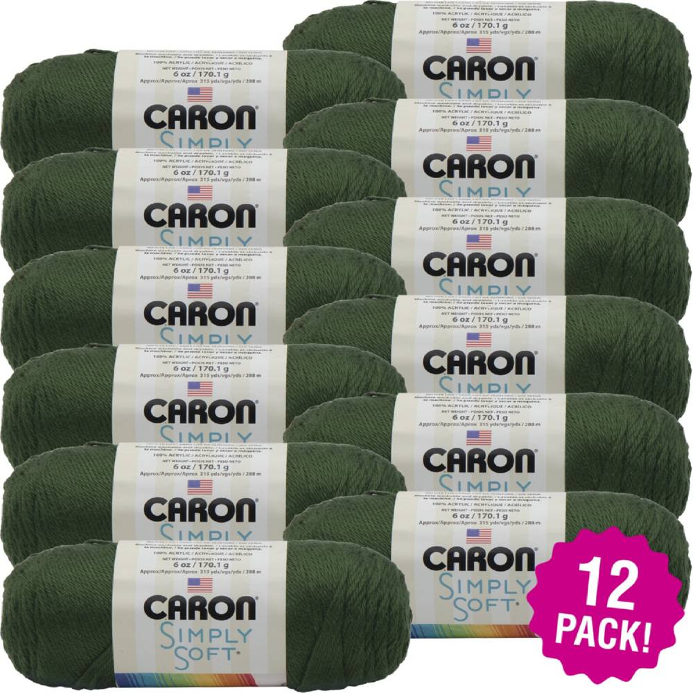 Caron Simply Soft Solids Yarn 12/PkSage Green