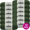 Caron Simply Soft Solids Yarn 12/Pk-Sage Green