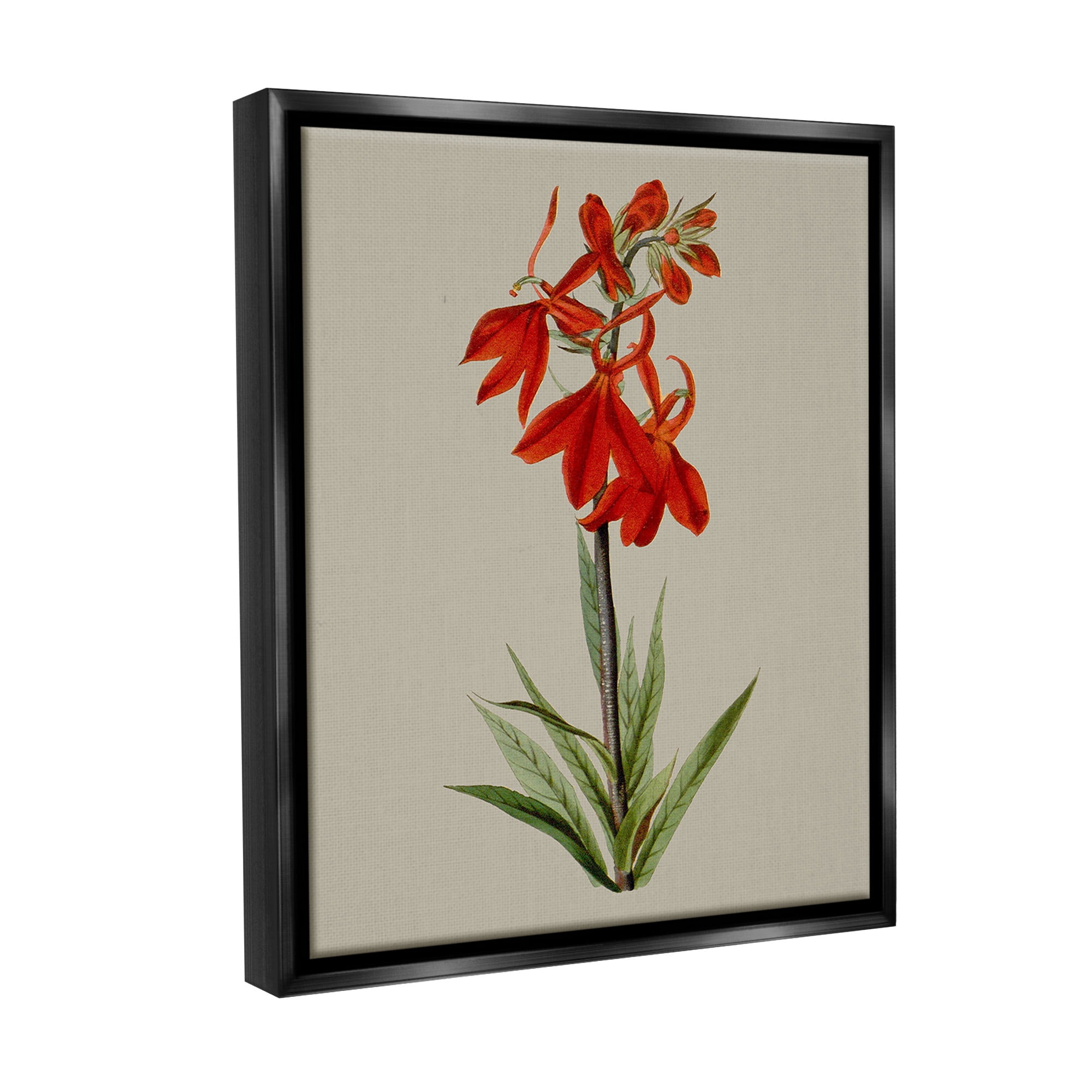 Stupell Industries Traditional Blossom Study Botanical & Floral Painting Black Floater Framed Canvas Art Print Wall Art, 25 x 31