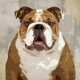 thumbnail image 2 of Rodgers, Keri 20x20 White Modern Wood Framed Museum Art Print Titled - Bulldog, 2 of 4