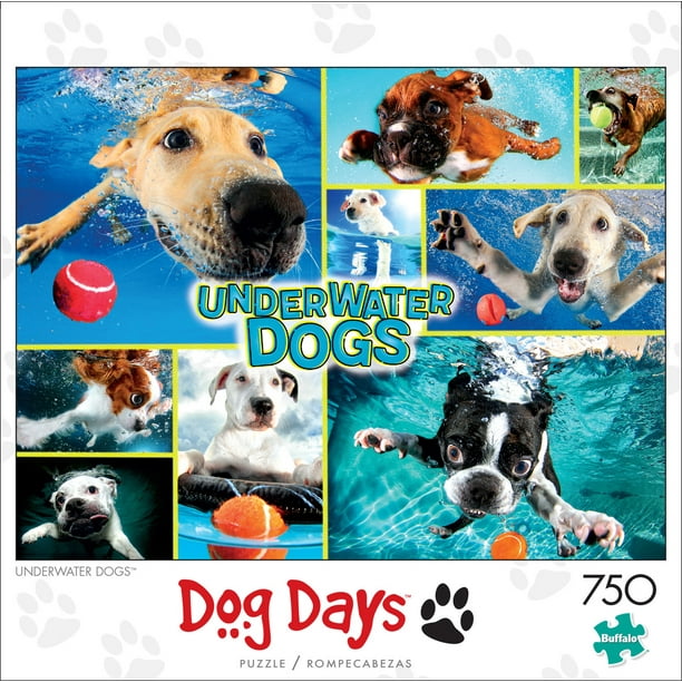 how long is a day in dog days
