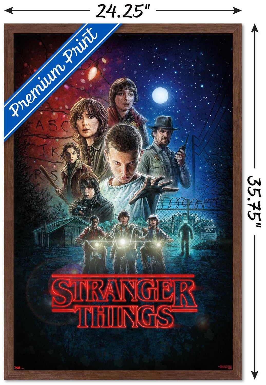 Netflix Stranger Things