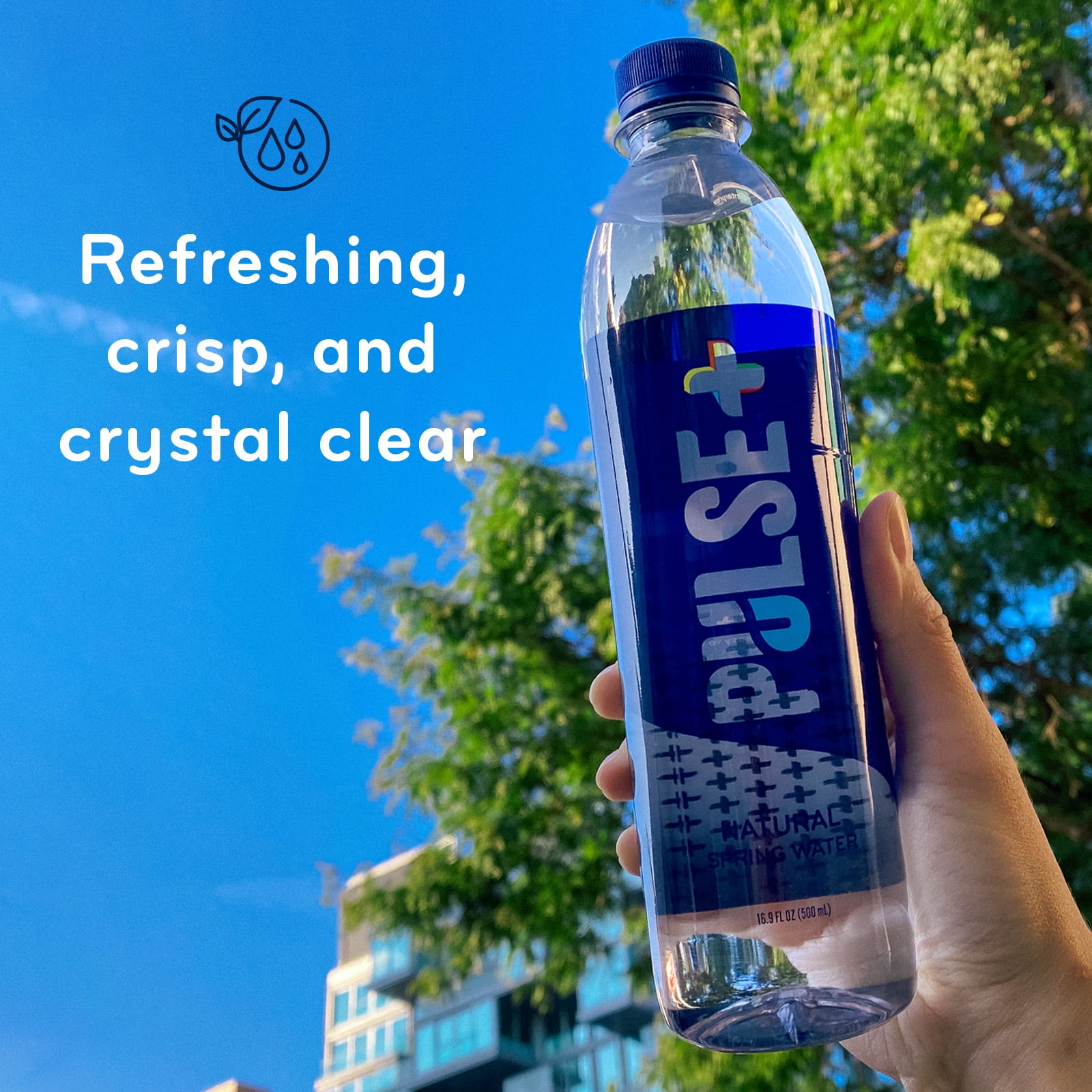 PULSE Natural Spring Bottled Water, Drinking Water, 24 x 16.9 oz