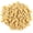 Beige, variant on Classic Bricks Starter Kit, Sand, 96 Pieces, 2x4 Studs, Building Creative Play Set for Ages 3 and Up, 100% Compatible with All Major Brick Brands