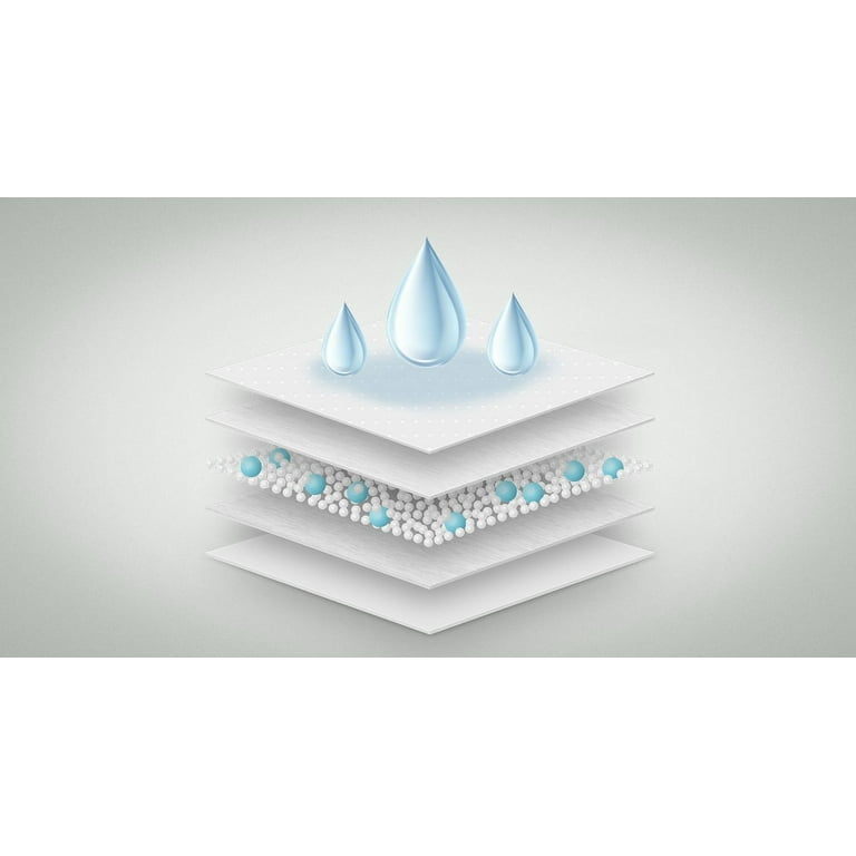 HONEY CARE All-Absorb Disposable Female Dog Diapers M Size, Improved Bigger Size, 36 Count, Super Absorbent, Breathable, Wetness Indicator (Pack Of 1, 36 Count Total