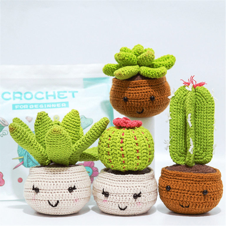 Crochet Starter Kit, Cute Plant Crochet Kit for Beginners, Gift for Adults  Kids