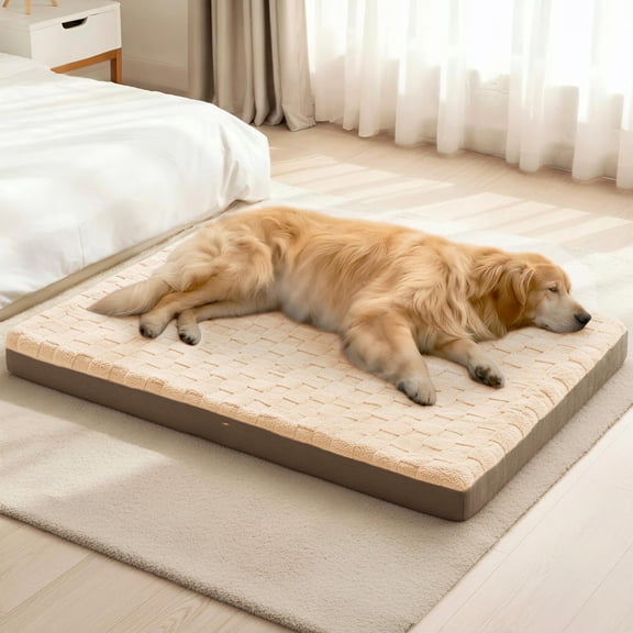 Xl Dog Bed Large Sized 42''x28'' Waterproof Soft Comfortable Egg Crate Foam Pet Beds Mat With Removable Washable Cover And Nonskid Bottom Brown