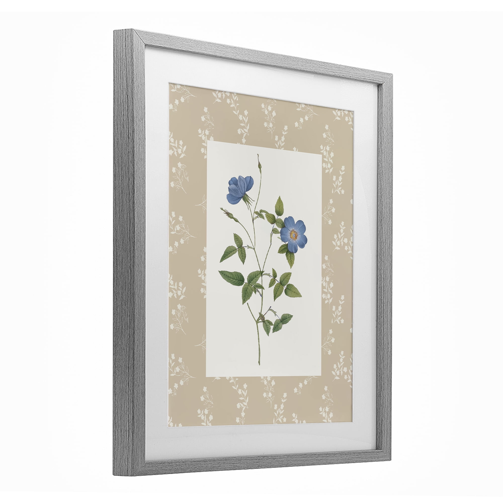 Stupell Industries Vintage Botanical Plate Gray Framed Print Under Glass, design by Val Rhodes