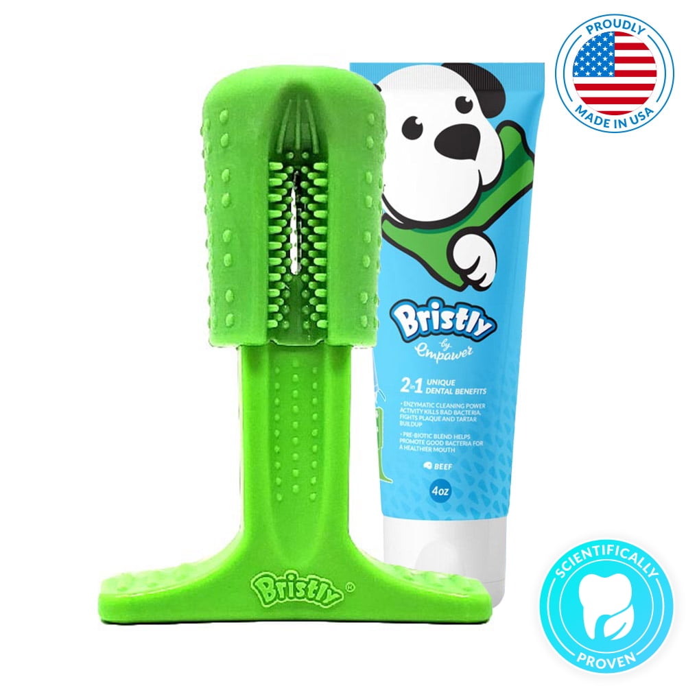 Bristly Brushing Stick for Medium Dog with Toothpaste The Original