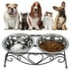 thumbnail image 3 of Tazón de Alimentacia de Perros Doble, Tazón de Mascotas Elevado, Con Acero inoxidable para el Marco de Hierro para Perro Pequeño, 3 of 7