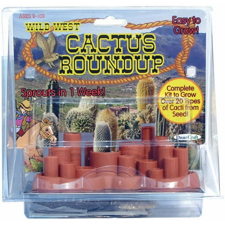 Odd Pods Wild West Cactus Round Up