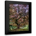 thumbnail image 1 of Centioli, Mike 11x14 Black Modern Framed Museum Art Print Titled - Japanese Maple Tree, 1 of 5