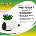 thumbnail image 7 of Peanuts Snoopy Face Ceramic Mini Planter with Artificial Succulent | 3.5"L x 5" H x 5" W, 7 of 7