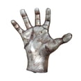thumbnail image 1 of Almencla Support de Balle en Résine Durable pour Rangement de Softball Écharpes Volleyball, 1 of 7