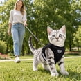thumbnail image 4 of Breathable Mesh Dog Vest, Escape-Proof Step-in Harness with Comfortable Padding for Small Dogs and Cats, Pet Walking Vest(L,Black), 4 of 7