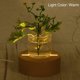 thumbnail image 3 of Soporte de base de luz LED de madera, pedestales redondos de madera de 3,94 pulgadas de diámetro para luces blancas cálidas para arte de cristal con luz nocturna acrílica, color madera, 3 of 5