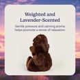 thumbnail image 3 of Peluche Warmies Beaver, pesado para microondas, 33 cm, 0,7 kg, 3 of 6
