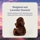 thumbnail image 3 of Peluche Warmies Beaver, pesado para microondas, 33 cm, 0,7 kg, 3 of 6