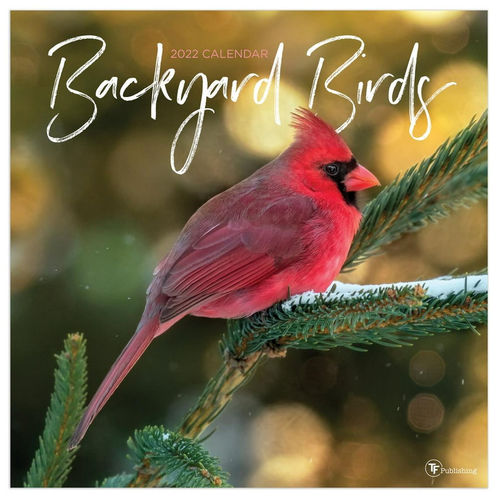 2022 Christmas Bird Count 2022 Backyard Birds Wall Calendar