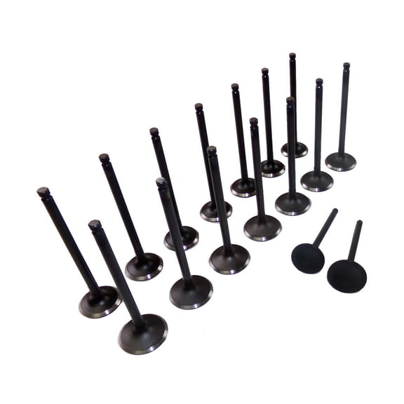 DNJ VK16107 Exhaust Intake Valve Kit Fits Cars & Trucks 89-06 Dodge L4 1.6L 1.8L 2.0L 2.4L DOHC 16V