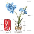 thumbnail image 2 of Jarrón de cristal con forma de orquídea artificial Jusdreen Blue, 37 cm, 2 of 7