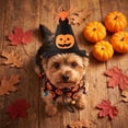 thumbnail image 6 of Halloween Pet Halloween Costume, Adjustable Pumpkin Spider Print 2 Piece Set, 1 Witch Hat 1 Bandana, for Small Dogs Cats Halloween Trick or Treat Party Holiday Decoration, 6 of 7