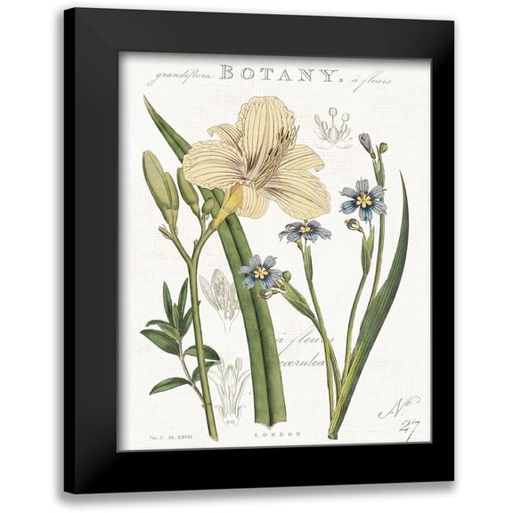 Schlabach, Sue 12x14 Black Modern Framed Museum Art Print Titled - Vintage Floral II Neutral