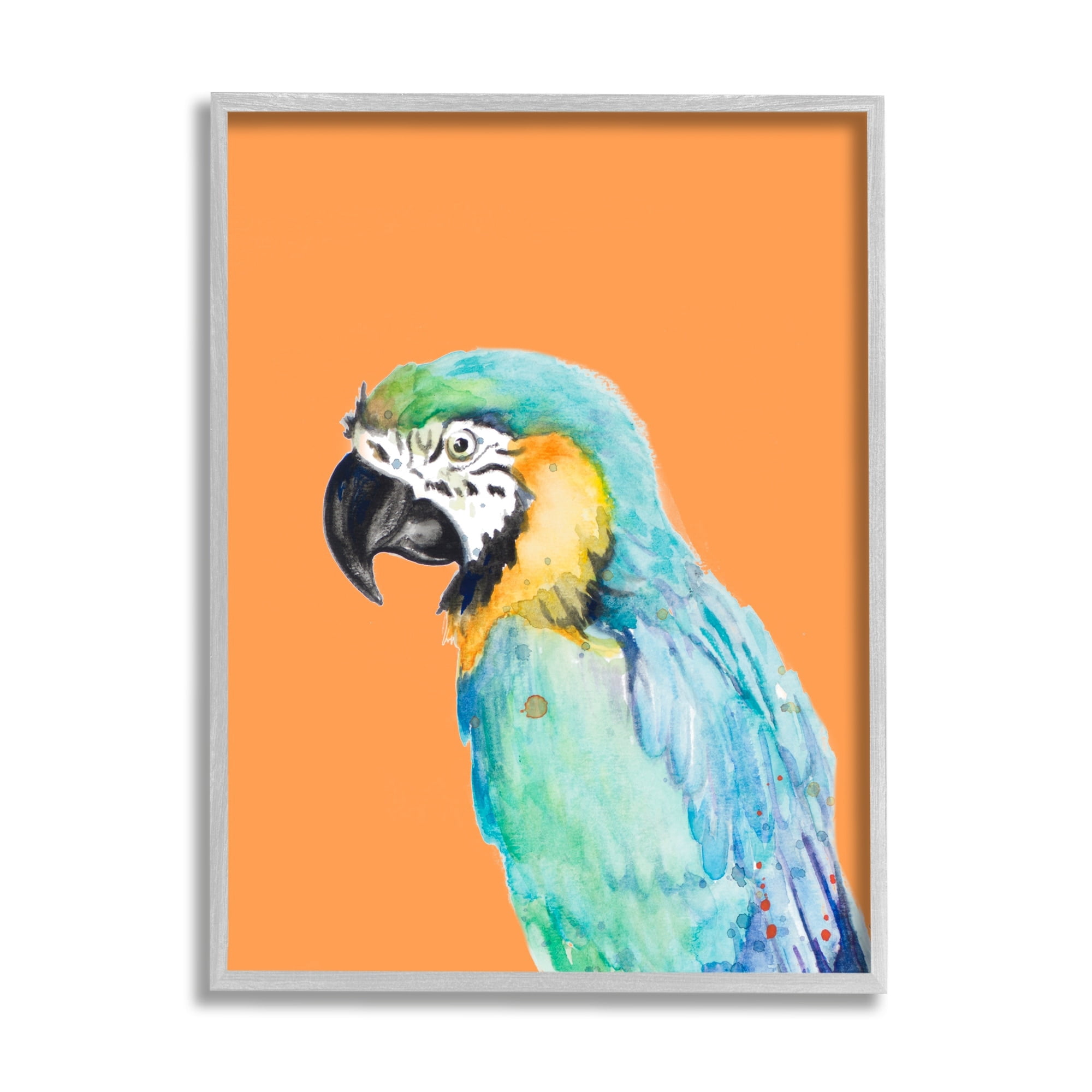 Stupell Industries Tropical Macaw Parrot Portrait Bold Rainforest Bird Graphic Art Gray Framed Art Print Wall Art, Design by Patricia Pinto