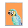 thumbnail image 5 of Stupell Industries Tropical Macaw Parrot Portrait Bold Rainforest Bird Graphic Art Gray Framed Art Print Wall Art, Design by Patricia Pinto, 5 of 5