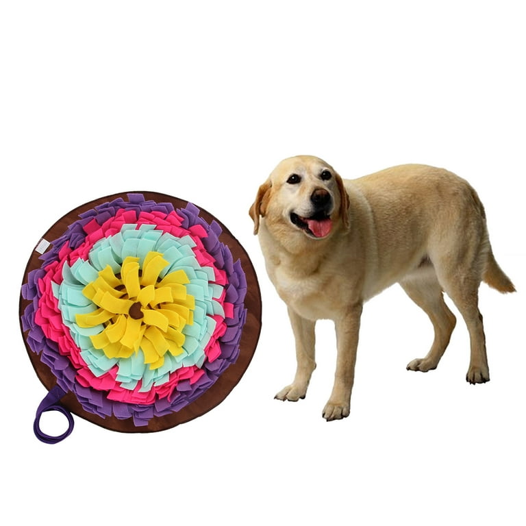 Pet Dog Snuffle Mat Toy Sniffing Treat Puzzle Feeder Foraging Nose