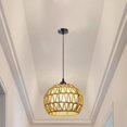 thumbnail image 2 of DOLITY Modern Ceiling Lamp Shades Lampshade Droplight Shades Lighting Hanging Lamp for light brown double layer, 2 of 9