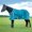 Teal/Grey, variant on Jeffers Economy 600 Denier Standard Neck Horse Sheet 0 Gram Polyfill, 72 Inch – Waterproof Lightweight Turnout Blanket Sheet for Horses - Stable, Barn, Pasture, Travel, Adjustable Fit - Black Grey
