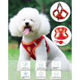 thumbnail image 4 of Arnés para perros Arnés para caminar ajustable Arnés para el pecho transpirable, suave y acolchado reflectante para perros pequeños, medianos, gatos y mascotas—BR-Life (M, rojo) esquí esquí Gafas de esquí, 4 of 5
