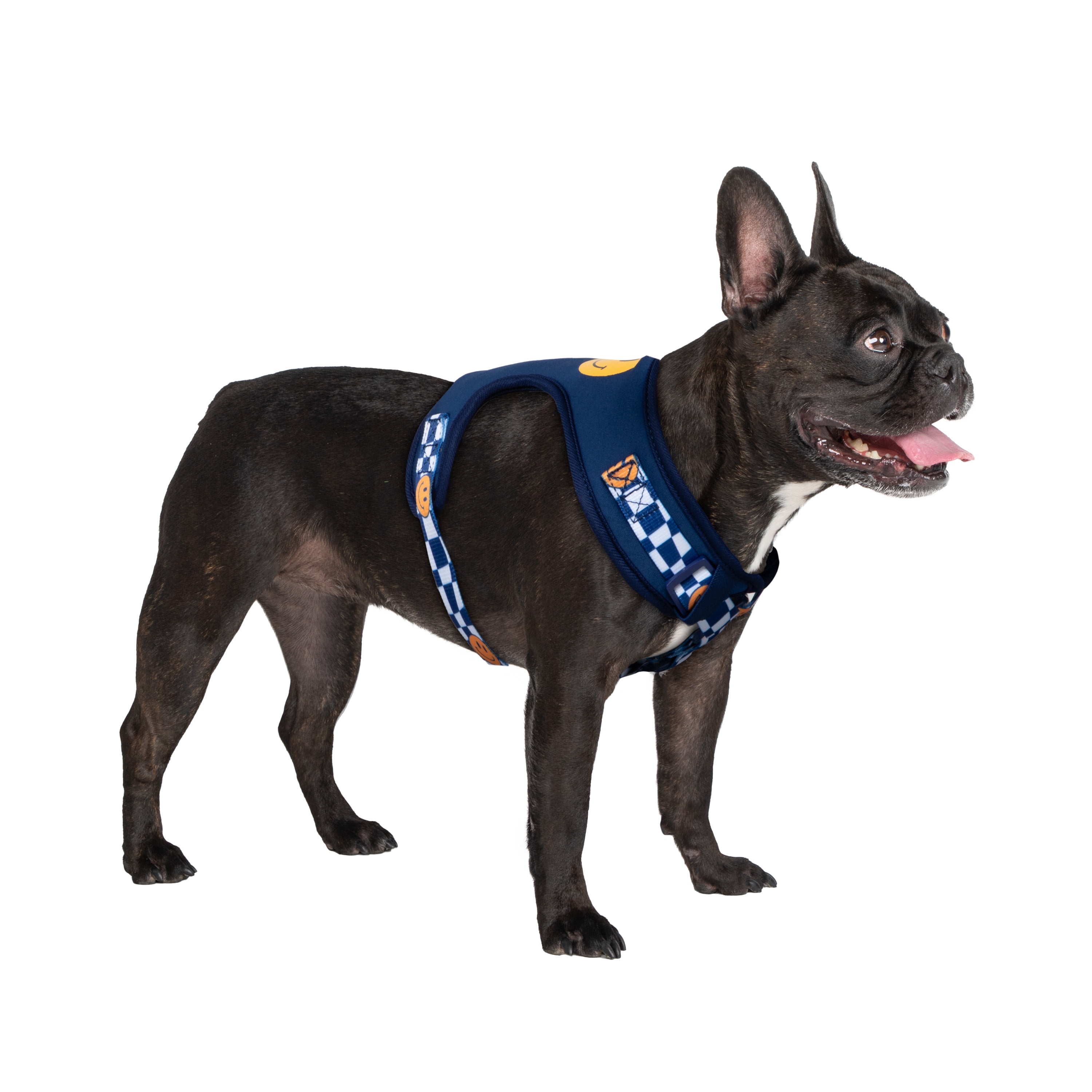 Smile Edition . Blue . Harness & Leash Set – Pets So Good