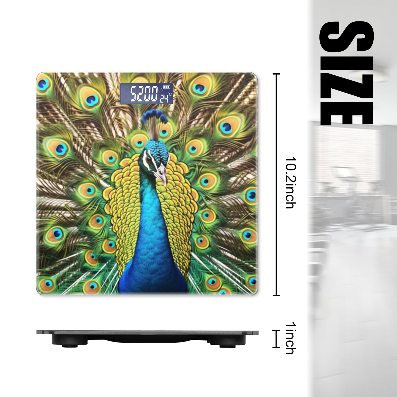 Bathroom Scale, Highly Accurate Digital Body Scale,Precisely Measures Weight up to 400 lbs-Majestic Peacock Displaying Vibrant Plumage With Feathers