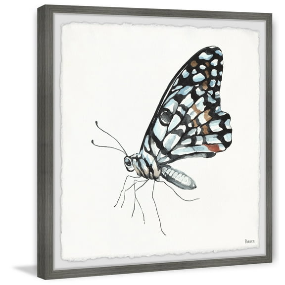 Parvez Taj "Blue and Black Mariposa" Framed Painting Print