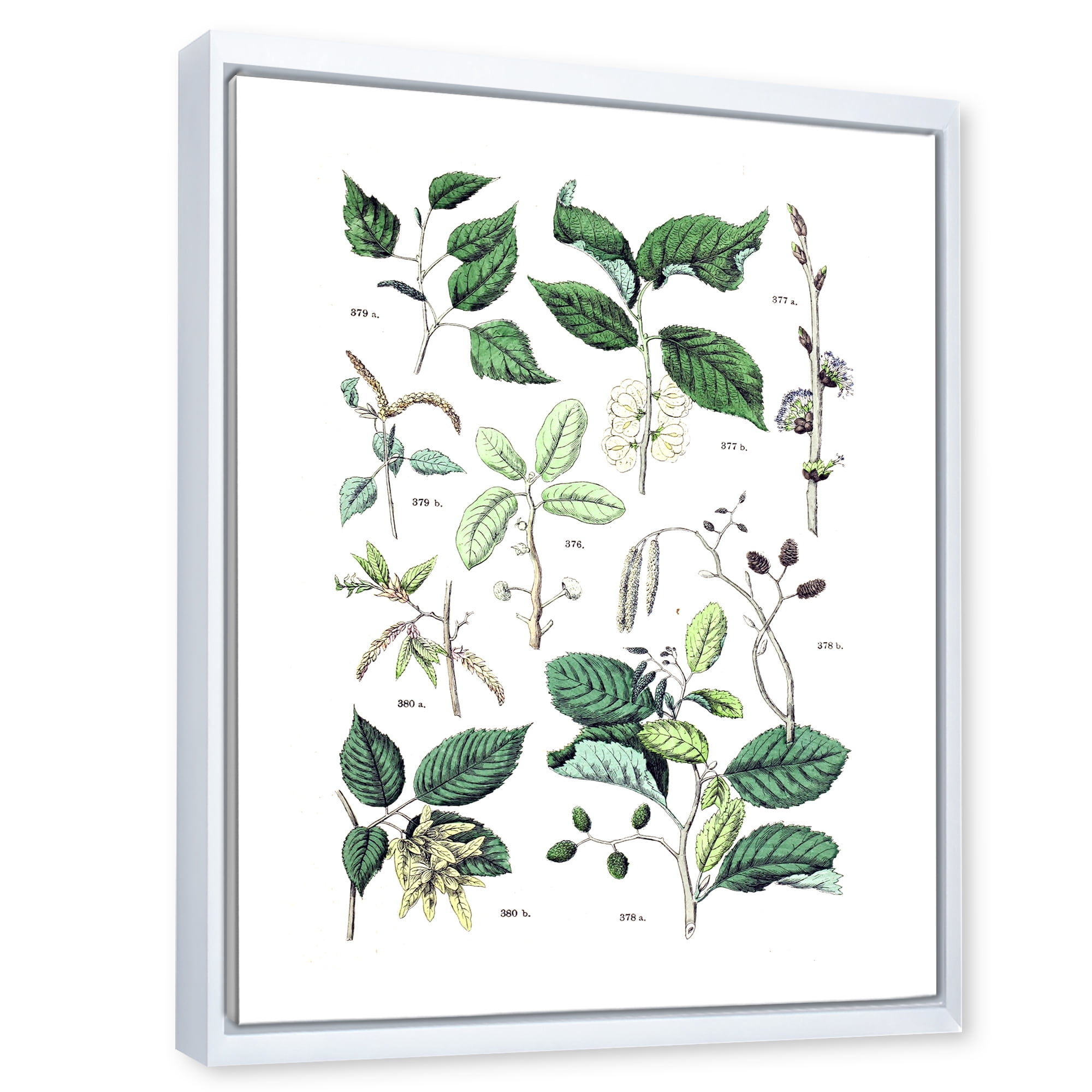 Ancient Botanicals VIII 24 in x 32 in Framed Painting Canvas Art Print, by Designart